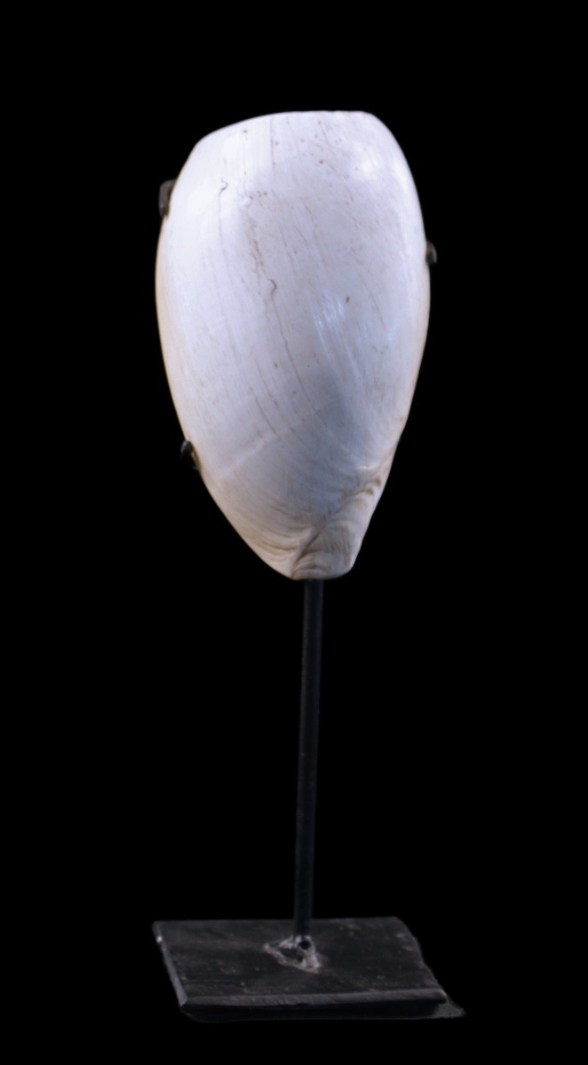Body Ornament, Element Of Adornment, Tribal Art, Oceanic Art, Papua New Guinea