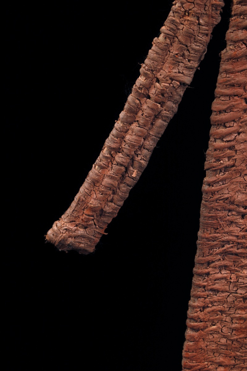 Timbuwarra, Basketry Character, Tribal Art, Oceanic Art, Oceania, Papua New Guinea -photo-2