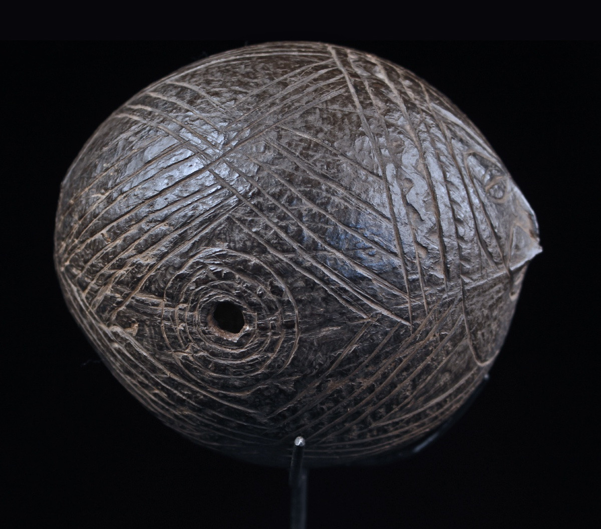 Traditional Flute, Instrument, Carved Coconut, Tribal Art, Oceanic Art, Oceania-photo-8