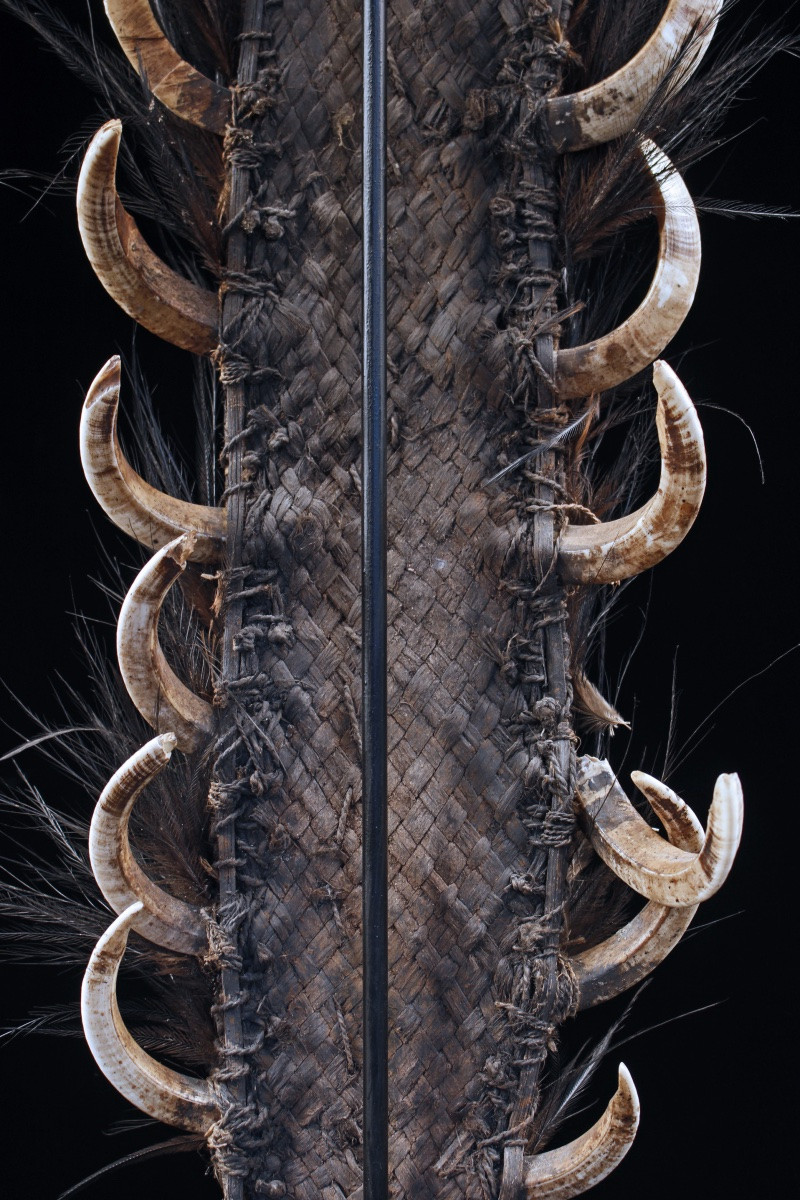 Dance Costume Element, Tribal Art, Oceanic Art, Papua New Guinea, Oceania-photo-4
