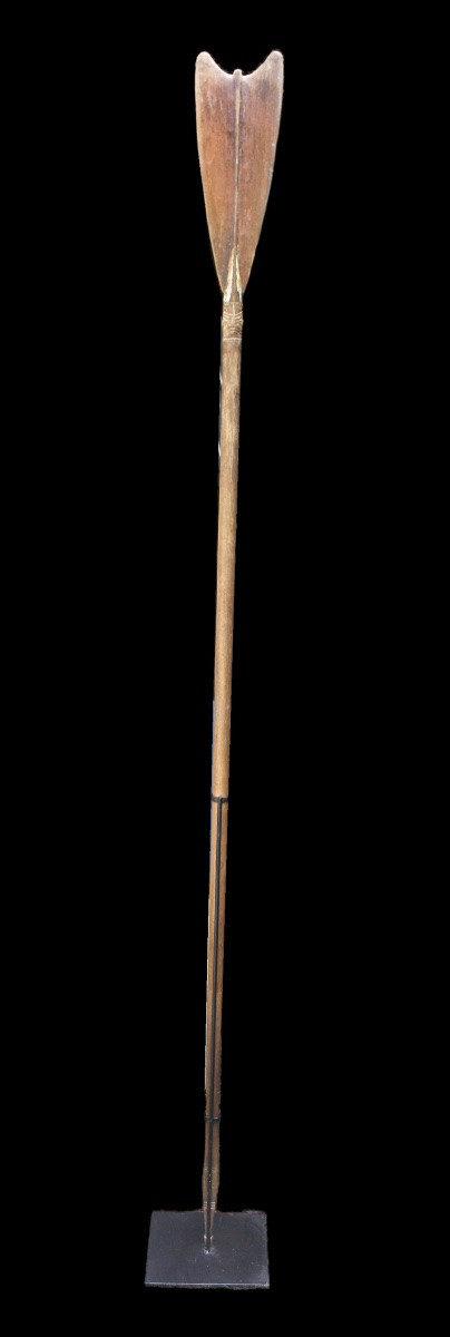 Paddle, Sepik River, Papua New Guinea, Oceanic Art, Tribal Art, Oceania-photo-1