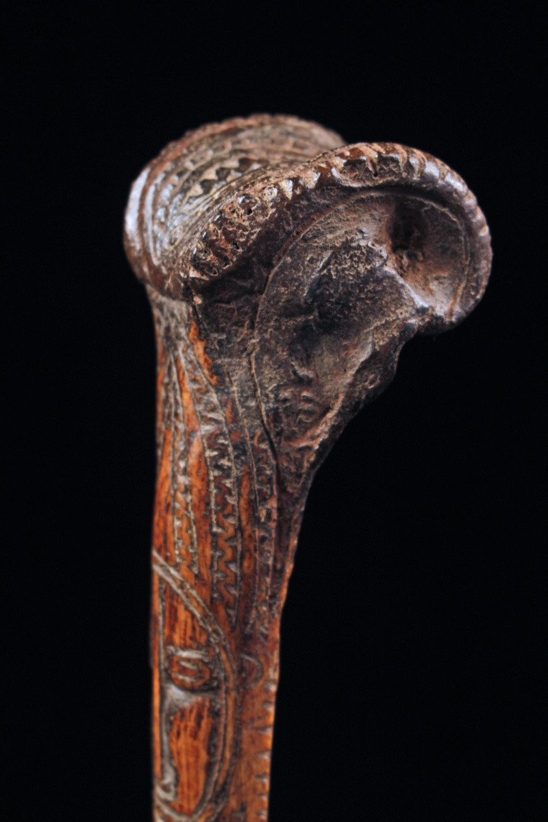 Cassowary Bone Dagger, Papua New Guinea, Oceania, Tribal Art, Oceanic Art, 38 Cm-photo-4