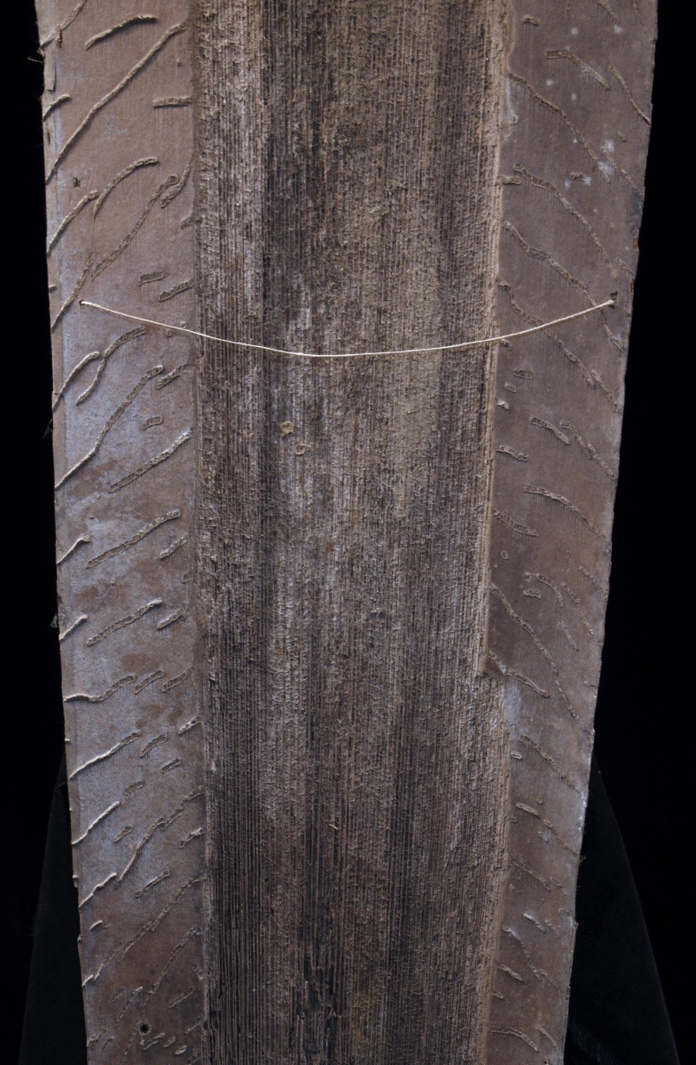 Painted Bark, Kwoma Ethnic Group, Papua New Guinea, Tribal Art, Oceanic Art, 82 Cm-photo-3