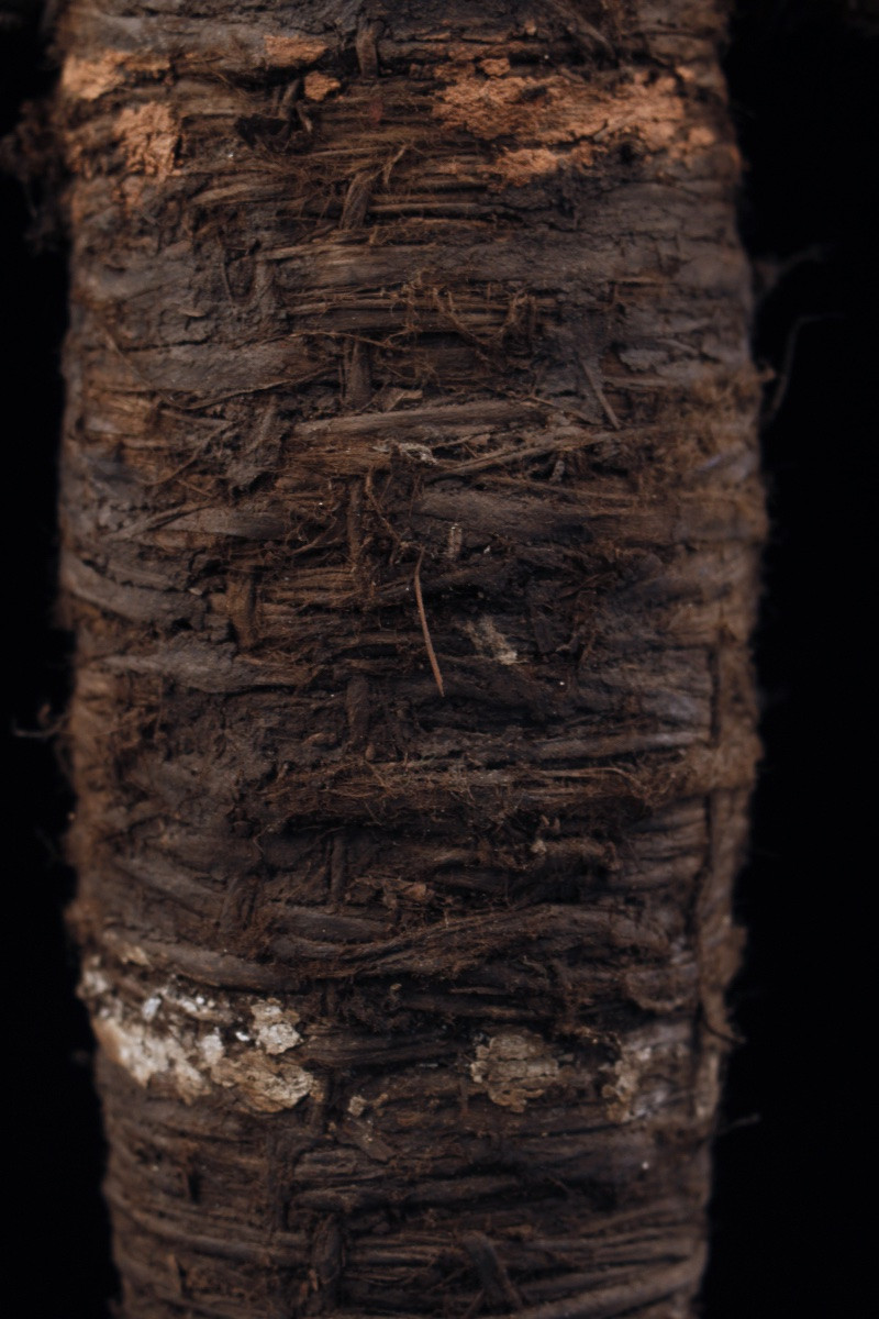 Personnage en fibres, Art Océanien, Art Tribal, Océanie, Arts Premiers, Spirit Figure, 91 cm-photo-4