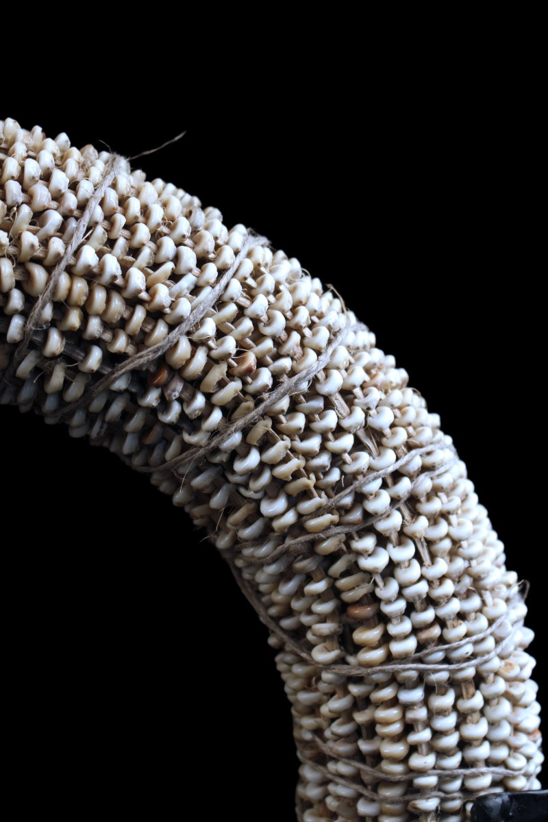 Tolai Currency, Tabu, Papua New Guinea, Tribal Art, Oceanic Art, 34 X 34 Cm-photo-3