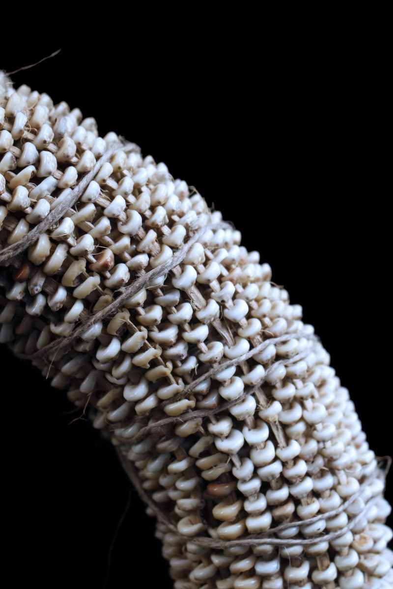 Tolai Currency, Tabu, Papua New Guinea, Tribal Art, Oceanic Art, 34 X 34 Cm-photo-4