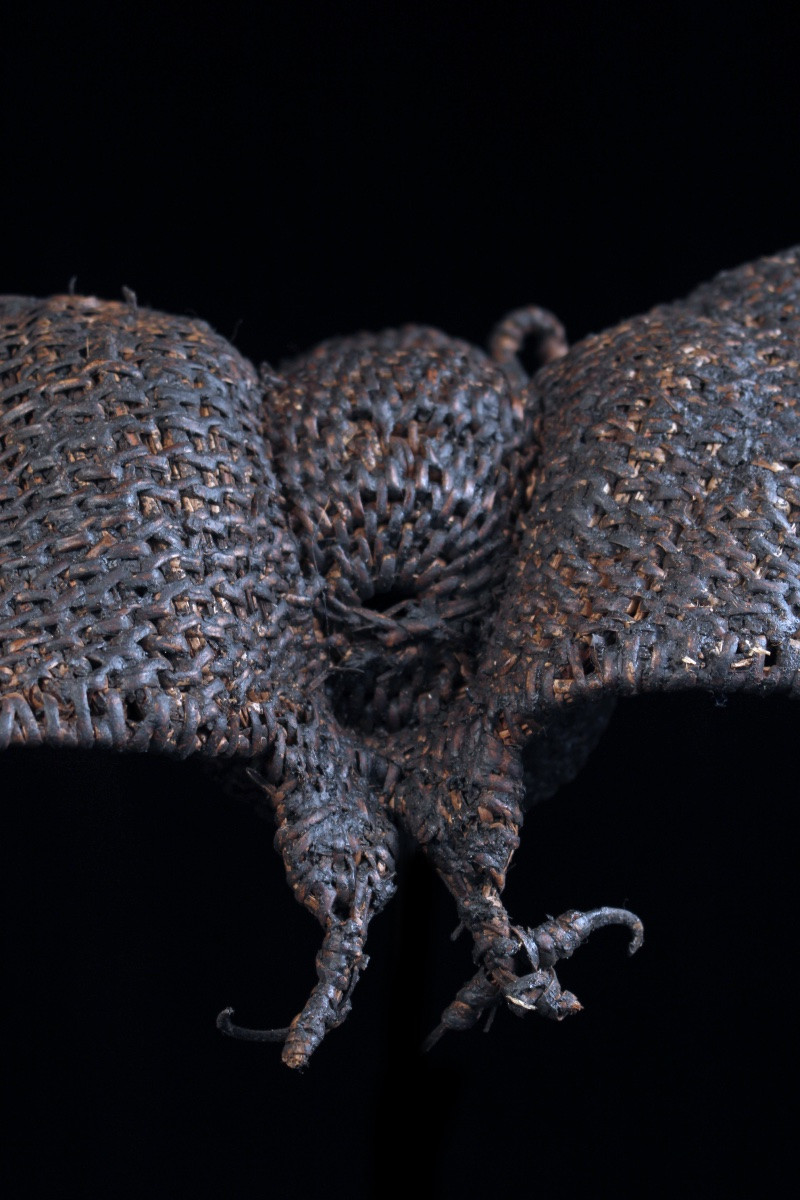 Bat, Tribal Art, Oceanic Art, Papua New Guinea, Oceania, Flying Fox, 49 Cm-photo-3