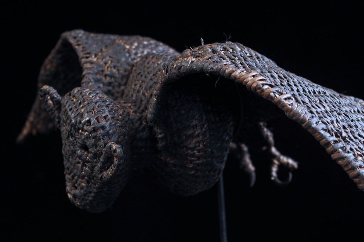 Bat, Tribal Art, Oceanic Art, Papua New Guinea, Oceania, Flying Fox, 49 Cm-photo-6