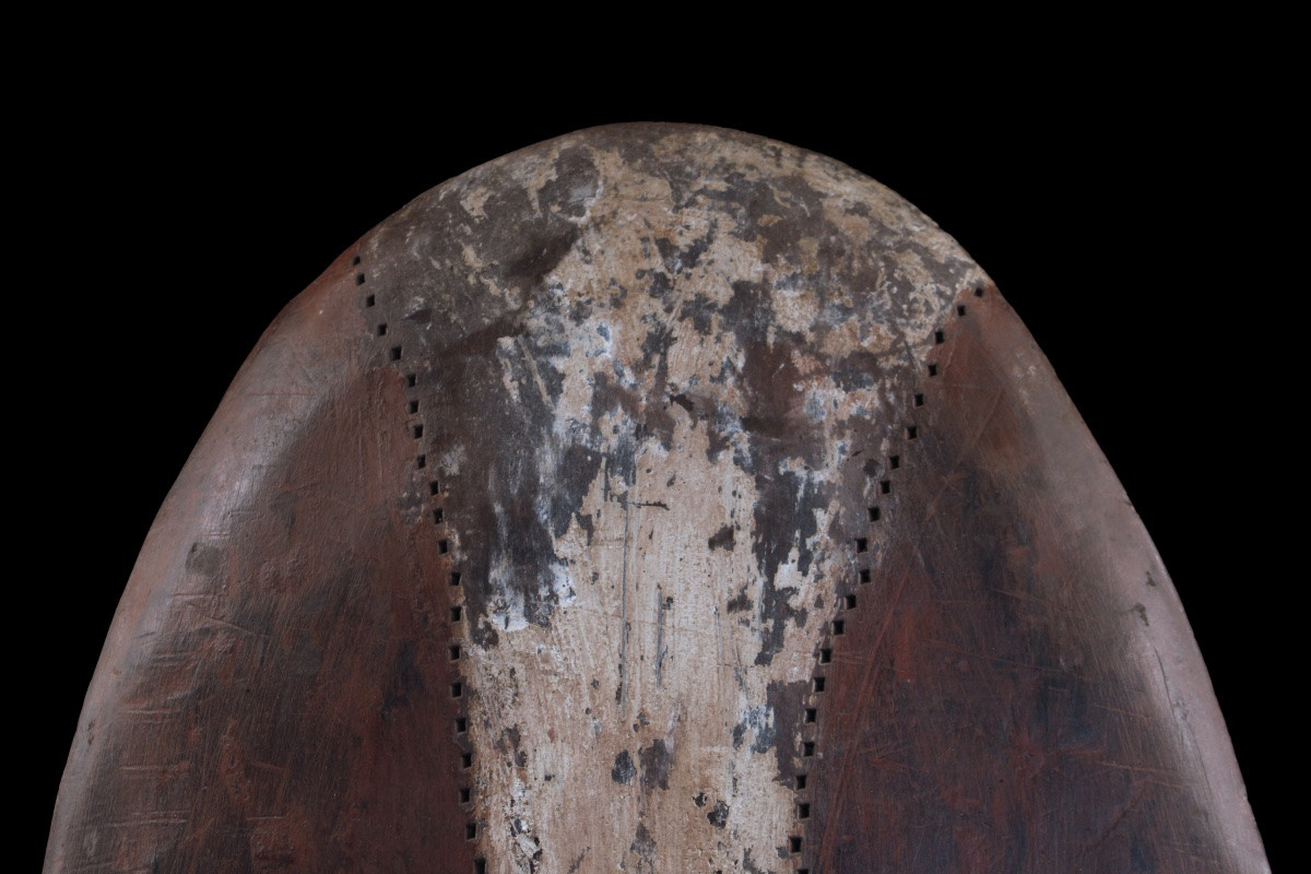 Bouclier, Papouasie Nouvelle Guinée, Océanie, Art Premier, Art Océanien, Art Tribal, 110 cm-photo-2