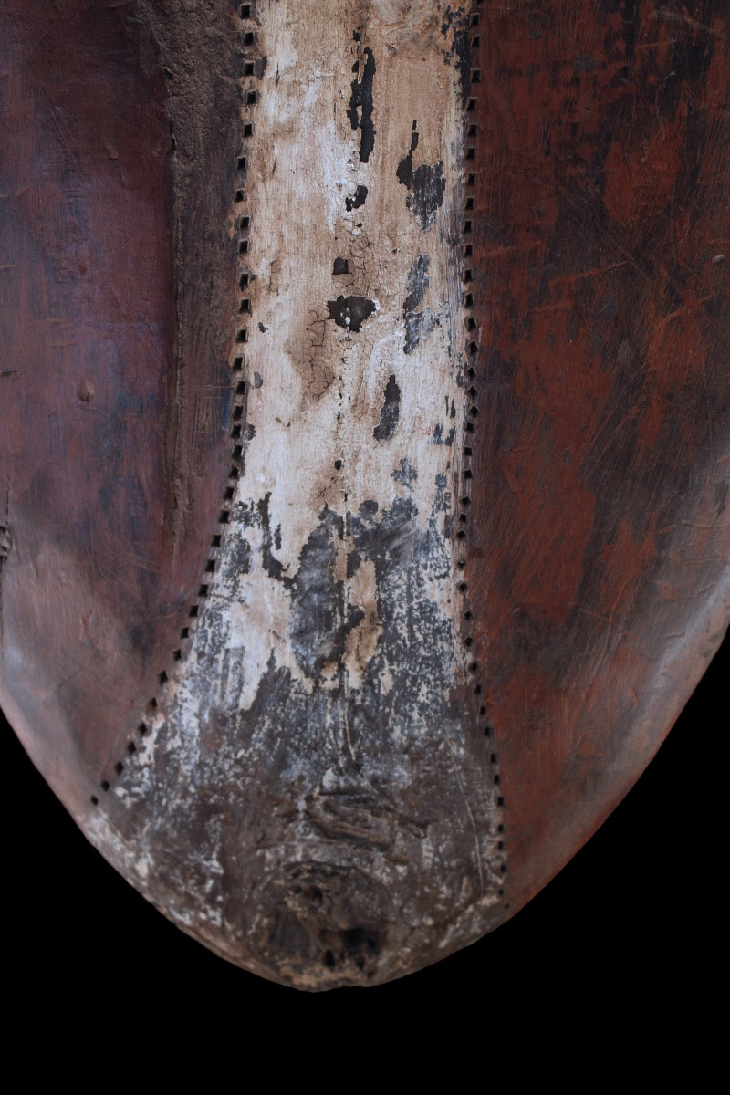 Bouclier, Papouasie Nouvelle Guinée, Océanie, Art Premier, Art Océanien, Art Tribal, 110 cm-photo-4