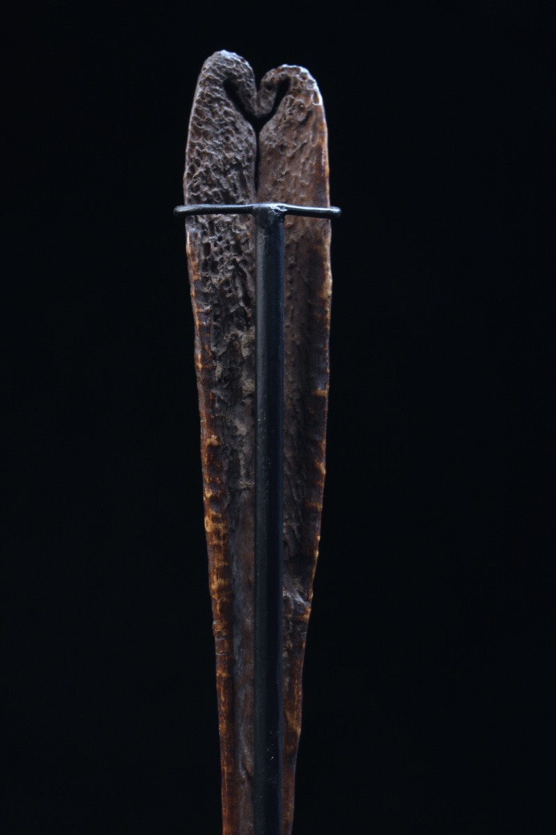 Dague En Os De Casoar, Papouasie Nouvelle Guinée, Océanie, Art Premier, Art Océanien, 33 cm-photo-3