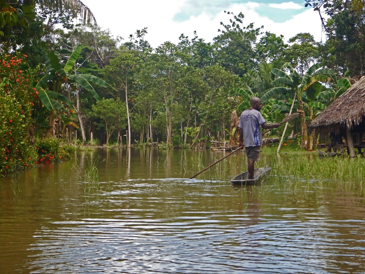 Paddle Fragment, Sepik River, Primitive Art, Oceanic Art, Tribal Art, Oceania, 43 Cm-photo-8