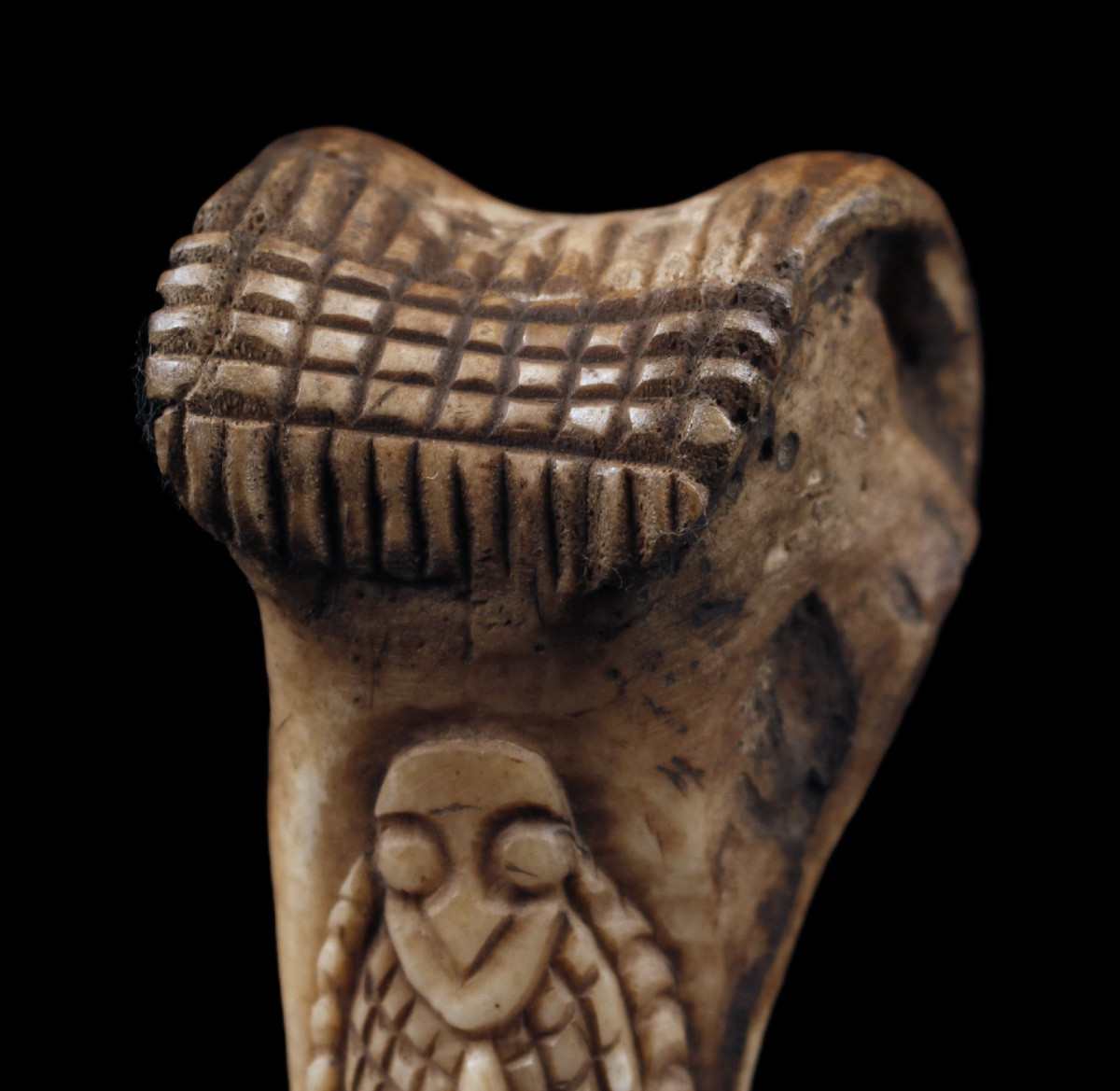 Casoar Bone Dagger, Papua New Guinea, Oceania, Primitive Art, Oceanic Art, 38 Cm-photo-2