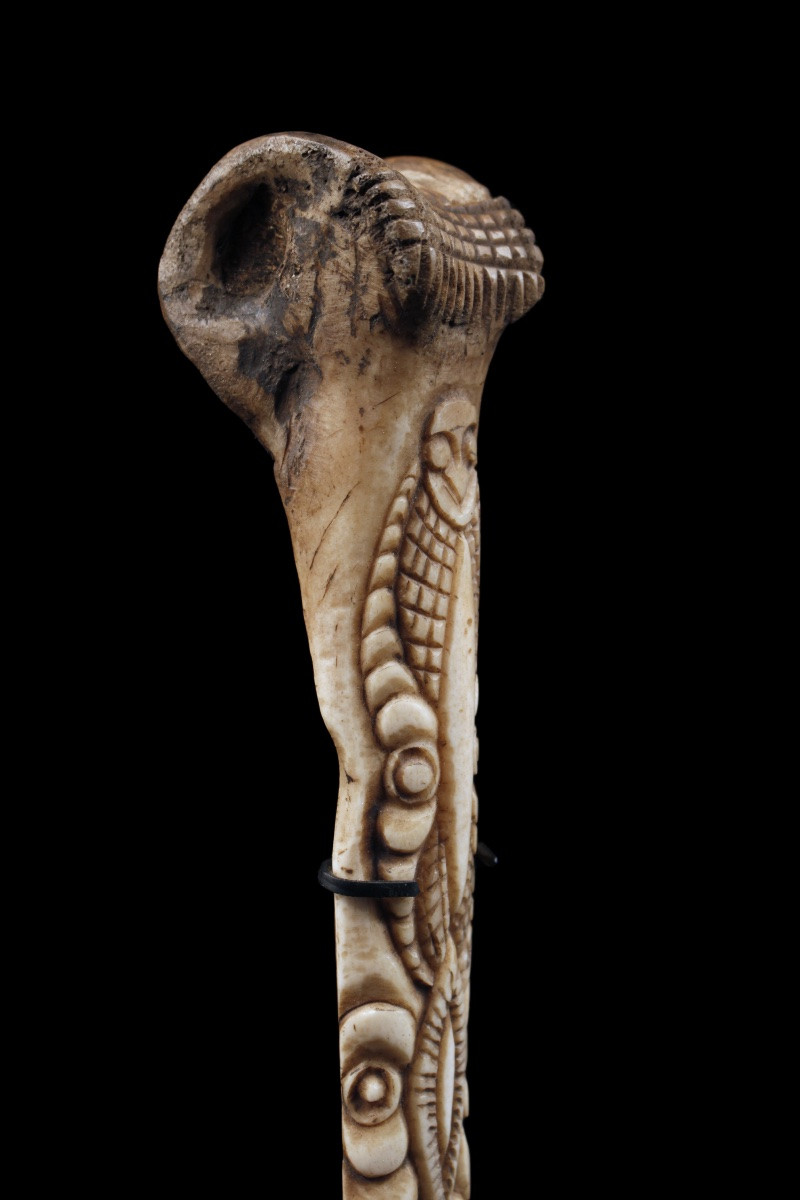Casoar Bone Dagger, Papua New Guinea, Oceania, Primitive Art, Oceanic Art, 38 Cm-photo-5