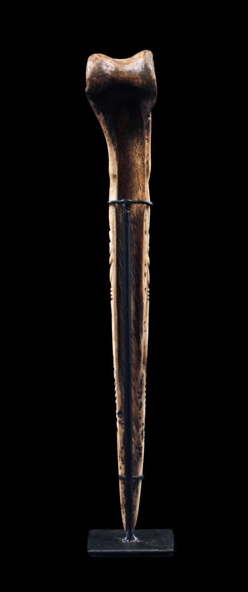 Casoar Bone Dagger, Papua New Guinea, Oceania, Primitive Art, Oceanic Art, 38 Cm-photo-6