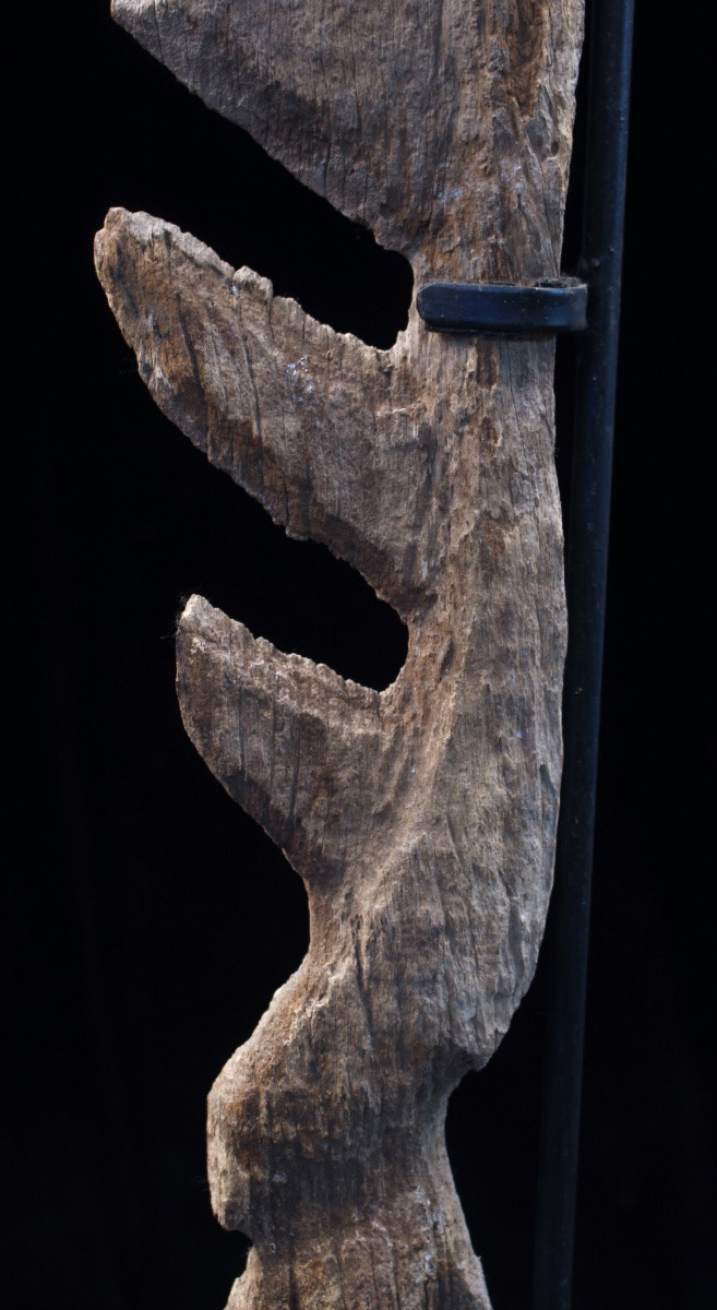 Old Yipwon, Cult Figure, Tribal Art, Oceanic Art, Wood Carving, Oceania, 154 Cm-photo-4