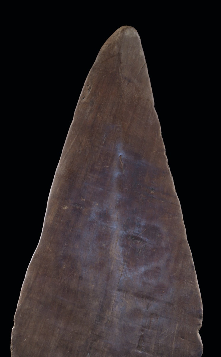 Pagaie du fleuve Sépik, Papouasie Nouvelle Guinée, Art Océanien, Art Tribal, Océanie, 177 cm-photo-3