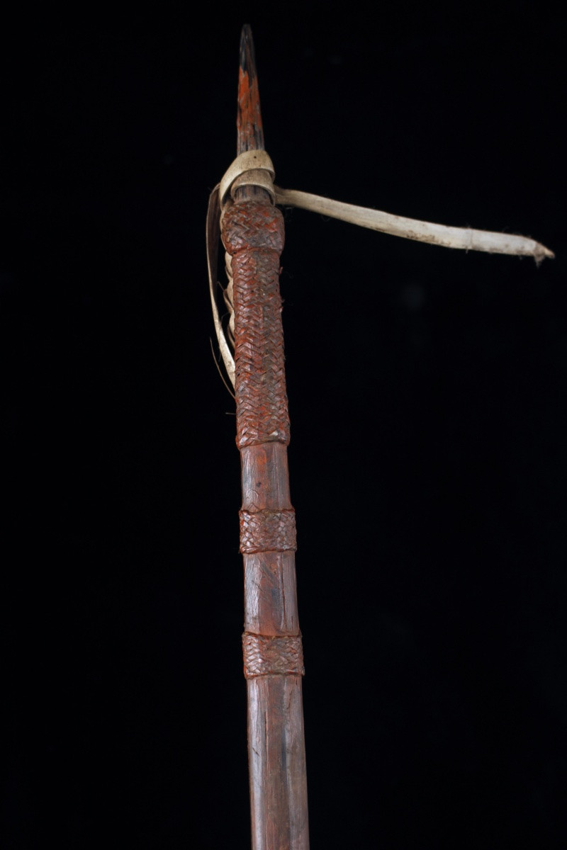 Bow And 6 Arrows, Weapons, Tribal Art, Oceanic Art, Papua New Guinea, Approx. 192 Cm-photo-2