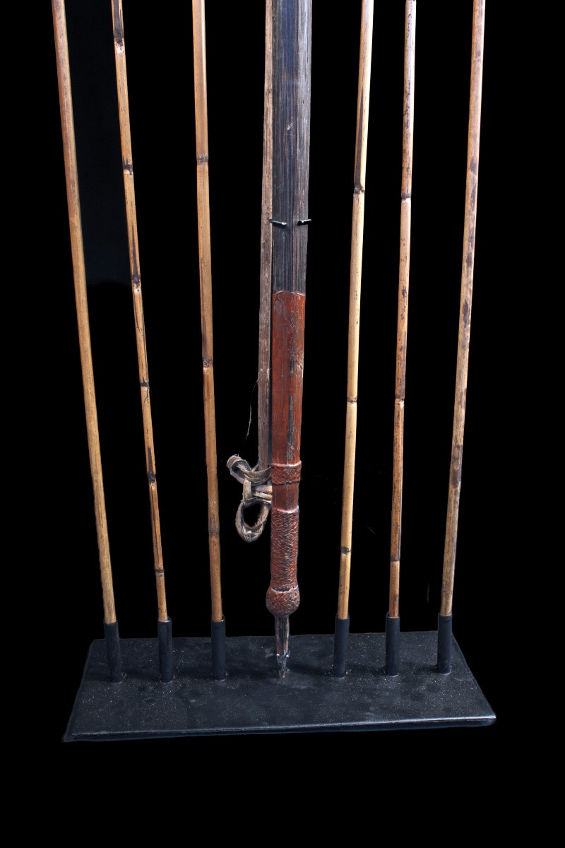 Bow And 6 Arrows, Weapons, Tribal Art, Oceanic Art, Papua New Guinea, Approx. 192 Cm-photo-4