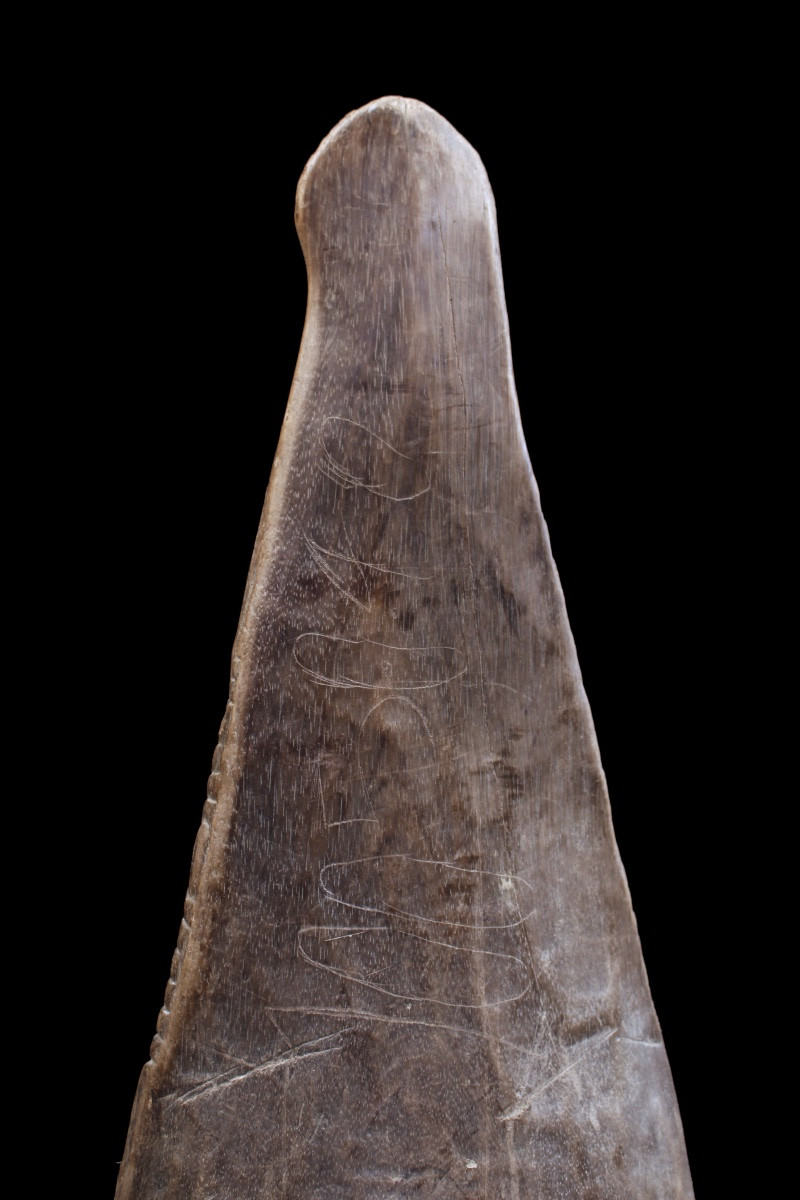 Proue De Pirogue, Papouasie Nouvelle Guinée, Océanie, Art Premier, Art Océanien, 63 cm-photo-5