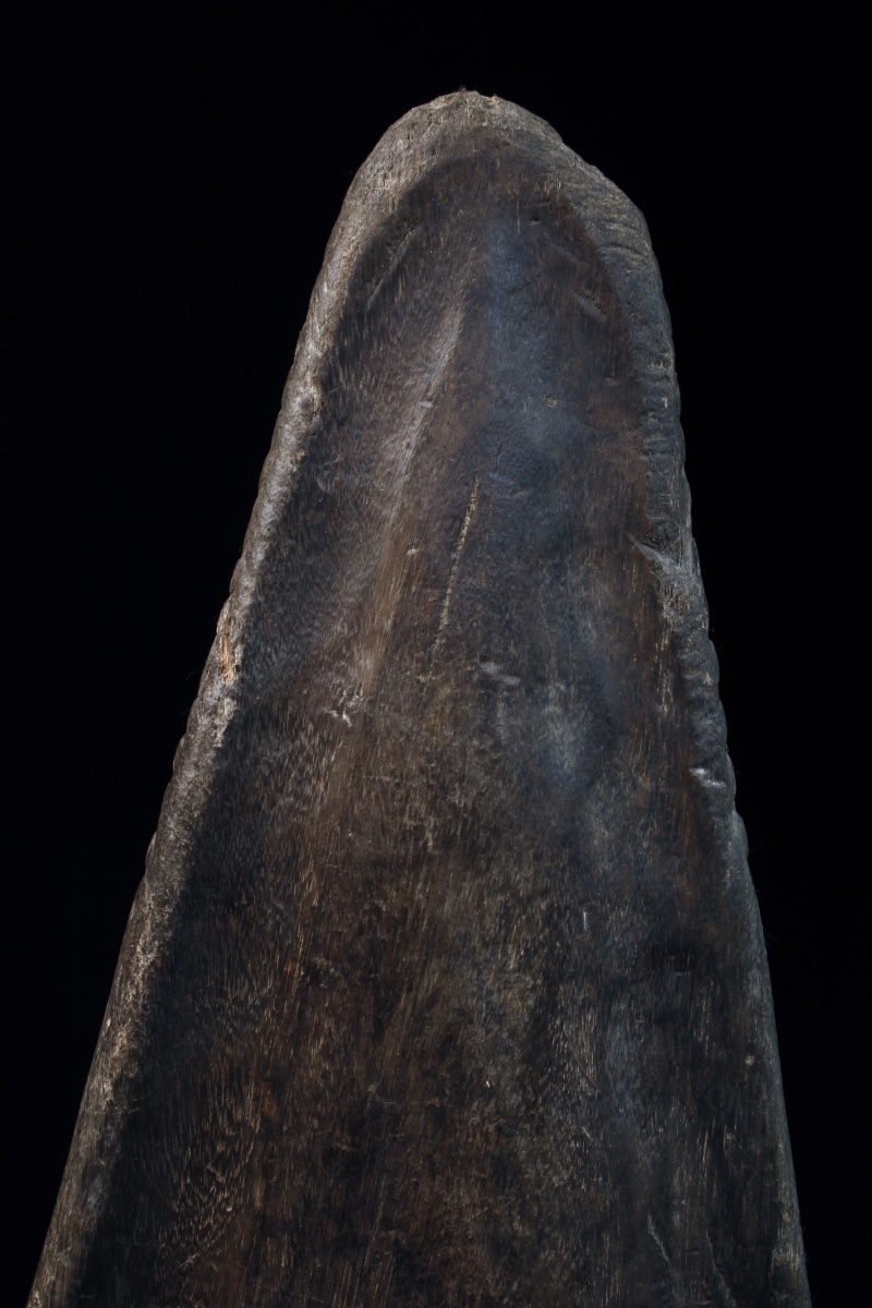 Proue de Pirogue, Papouasie Nouvelle Guinée, Océanie, Art Premier, Art Océanien, 48 cm-photo-3