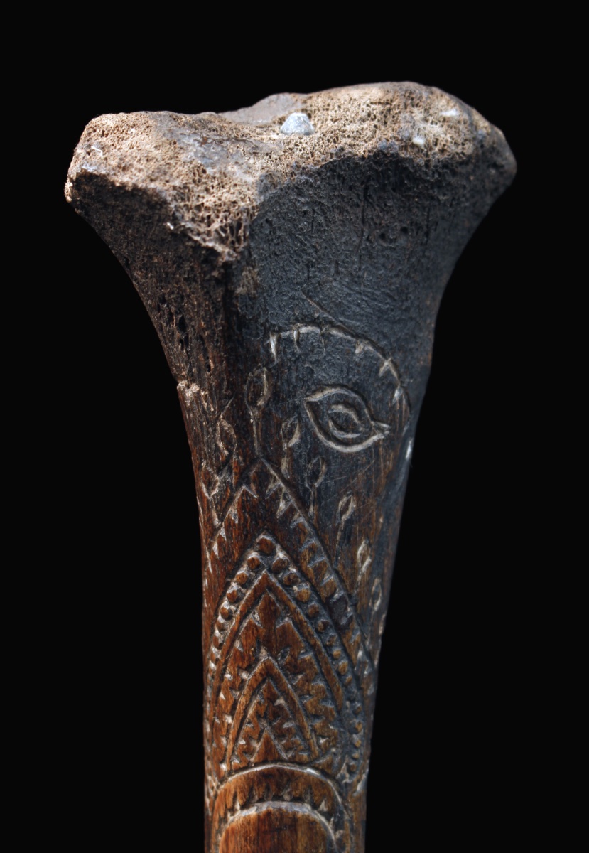 Cassowary Bone Dagger, Papua New Guinea, Oceania, Primitive Art, Oceanic Art, 31 Cm-photo-2