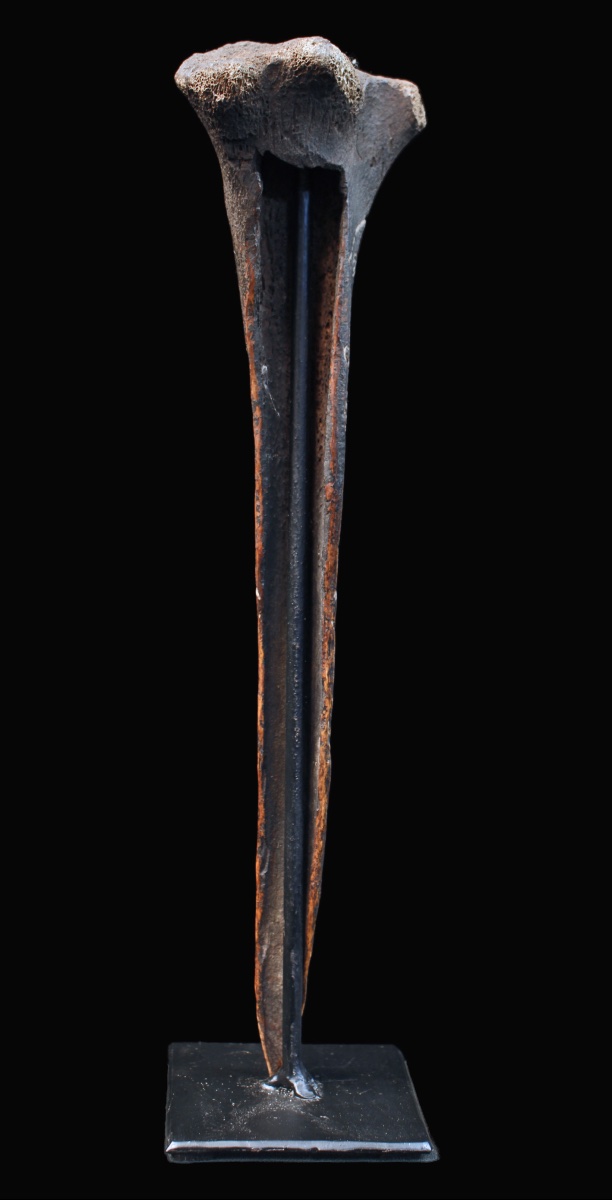 Cassowary Bone Dagger, Papua New Guinea, Oceania, Primitive Art, Oceanic Art, 31 Cm-photo-3