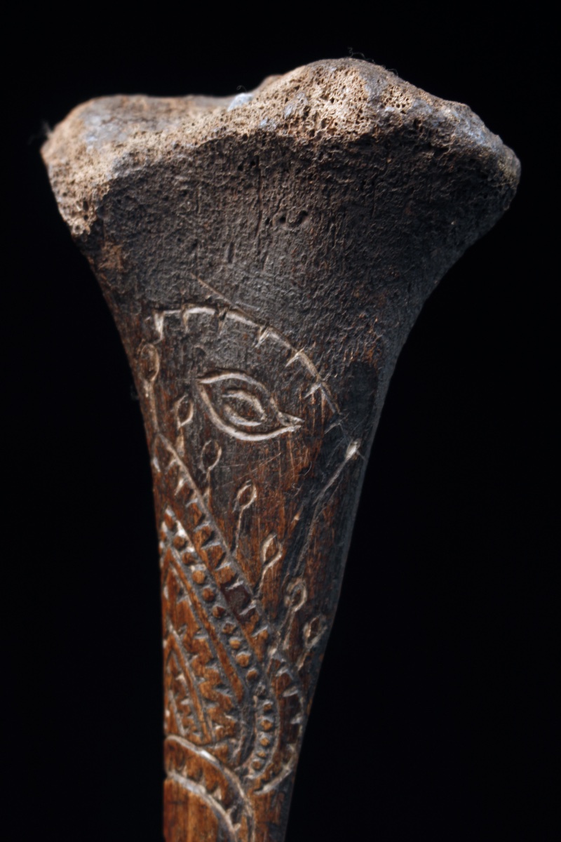 Cassowary Bone Dagger, Papua New Guinea, Oceania, Primitive Art, Oceanic Art, 31 Cm-photo-5