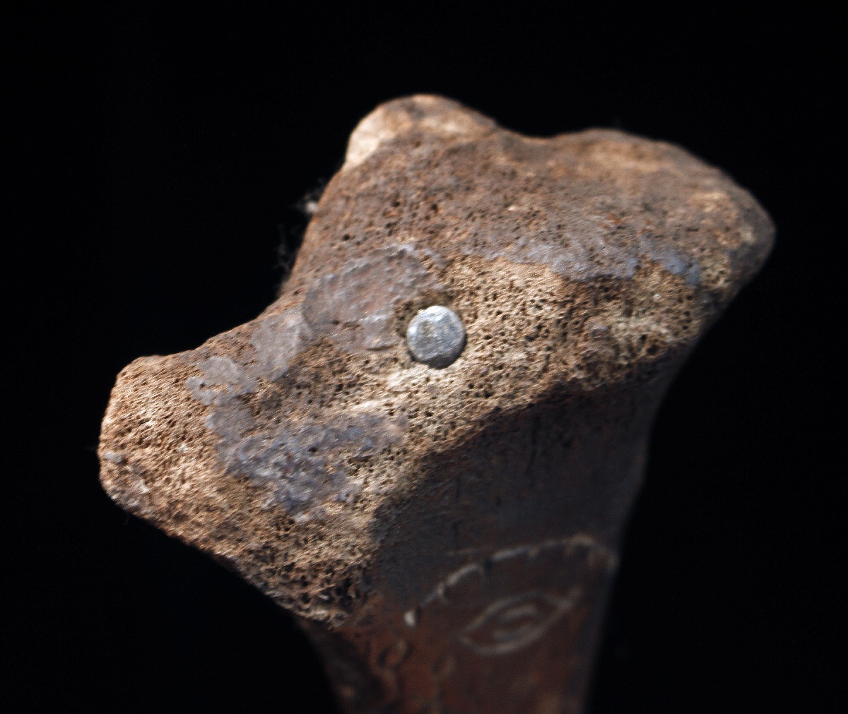 Cassowary Bone Dagger, Papua New Guinea, Oceania, Primitive Art, Oceanic Art, 31 Cm-photo-8