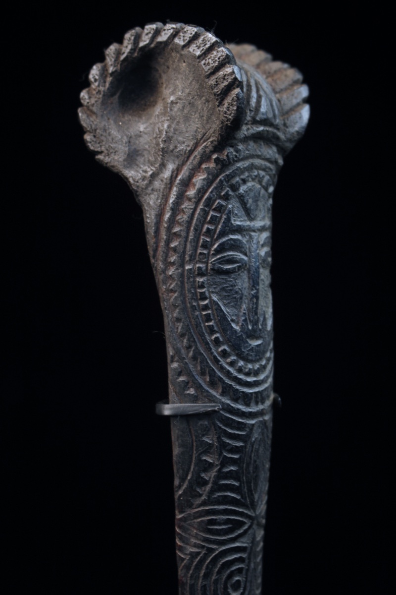 Cassowary Bone Dagger, Papua New Guinea, Oceania, Primitive Art, Oceanic Art, 36.5 Cm-photo-7
