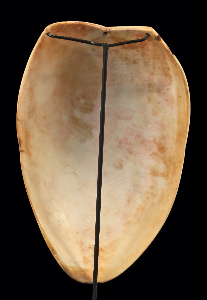 Pectoral Ornament, Papua New Guinea, Primitive Art, Oceanic Art-photo-3