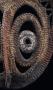 1596274-6890bdd949471.jpg