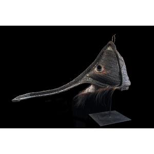 Masque Didagur, Art Tribal, Art Océanien, Océanie, Arts Premiers, 112 cm