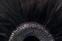 1797916-6a60b186a1724.jpg