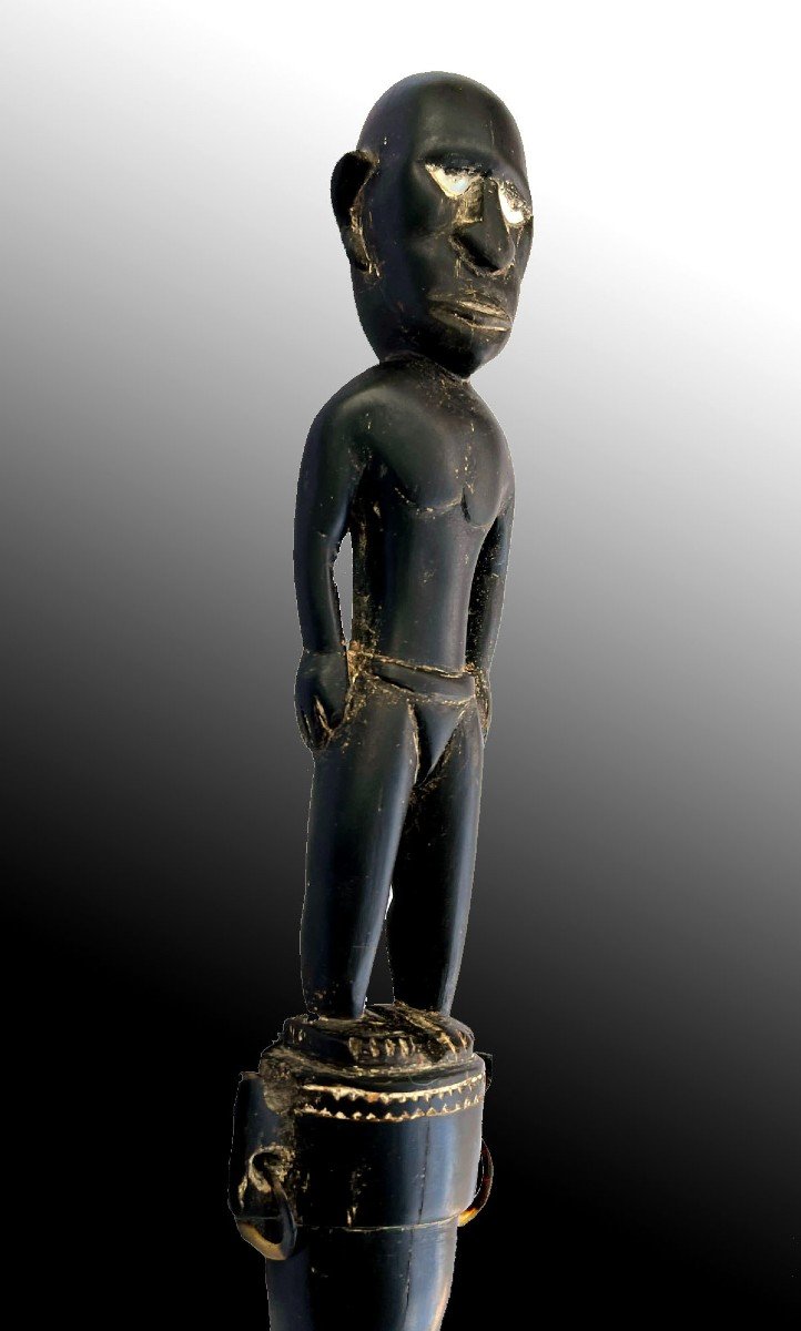 Ceremonial Staff Santa Cruz Island Solomon Islands Oceania Tribal Art-photo-4