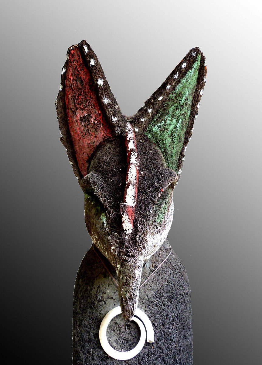 Ancienne et rare  Figure De Grade Malakula Vanuatu Océanie Art Premier-photo-4