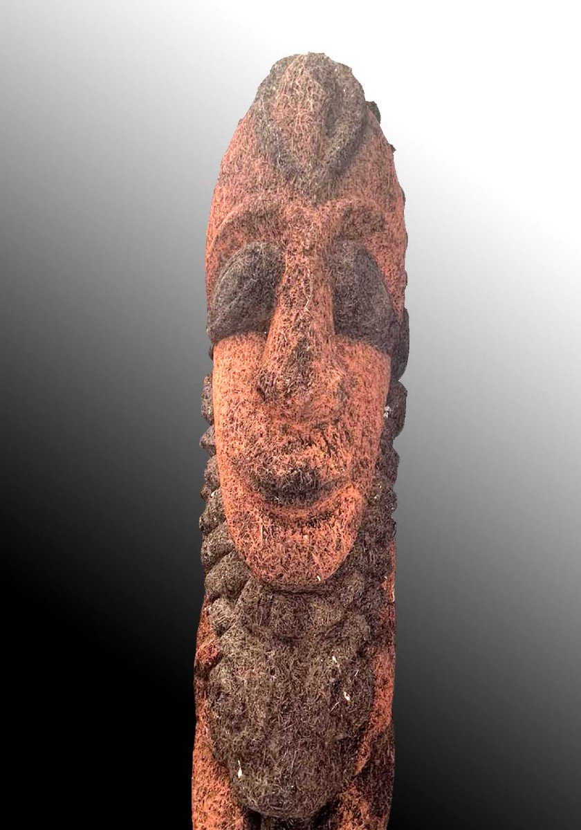 Couple De Fougères arborescentes sculptées Ambrym Vanuatu Océanie Art Premier-photo-1