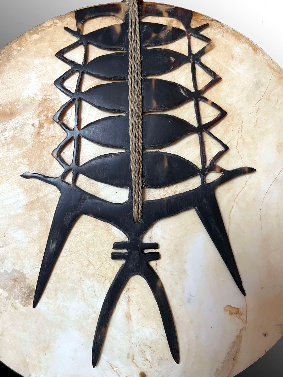 Imposing  Tema  Pectoral Ornament 21 Cm Solomon Islands Oceania Tribal Art-photo-1