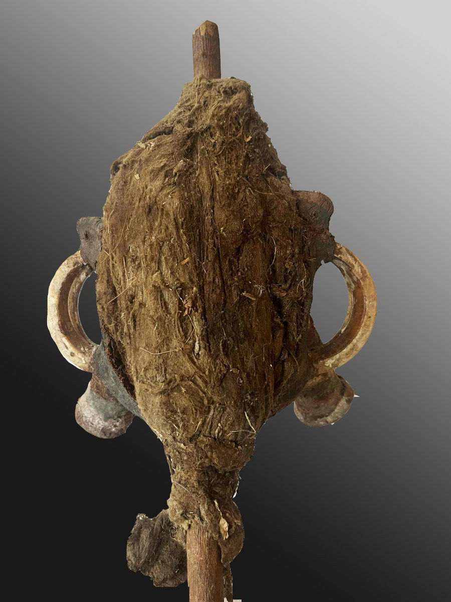 Dance Stick "témes Névimbur" Malakula Vanuatu Oceania Tribal Art-photo-4