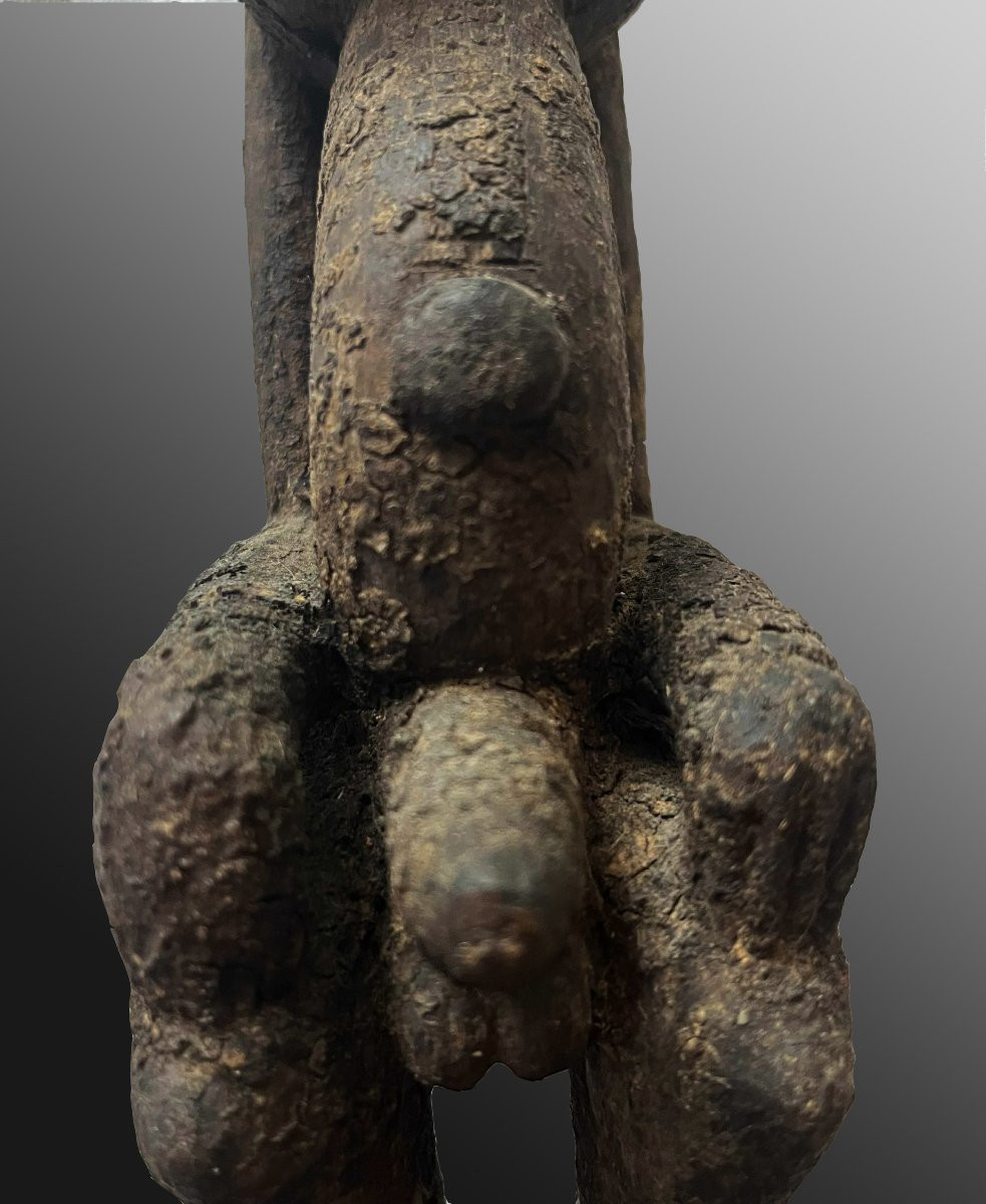 Statuette  hermaphrodite Dogon Mali Afrique Art Tribal-photo-7