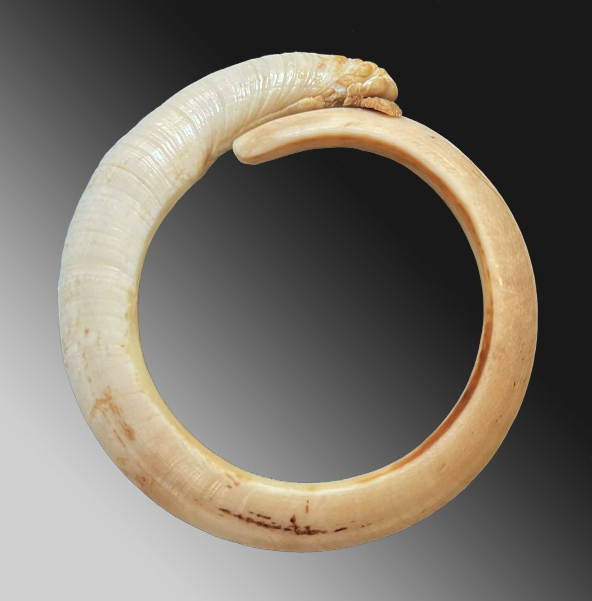 Rare bracelet Dent De Verrat Monnaie d'&eacute;change Vanuatu Oc&eacute;anie Art Premier