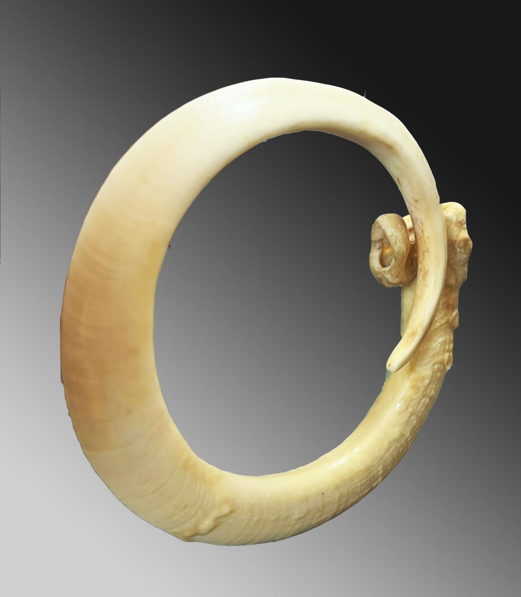 Dent de verrat Monnaie d'échange Vanuatu Océanie Art premier-photo-4