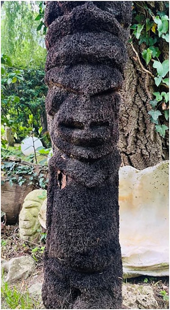 Grades 5  Figur Emalakula Vanuatu Oceania Art Premier-photo-3