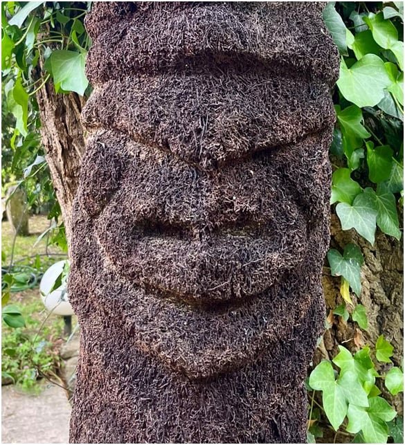 Grades 5  Figur Emalakula Vanuatu Oceania Art Premier-photo-4