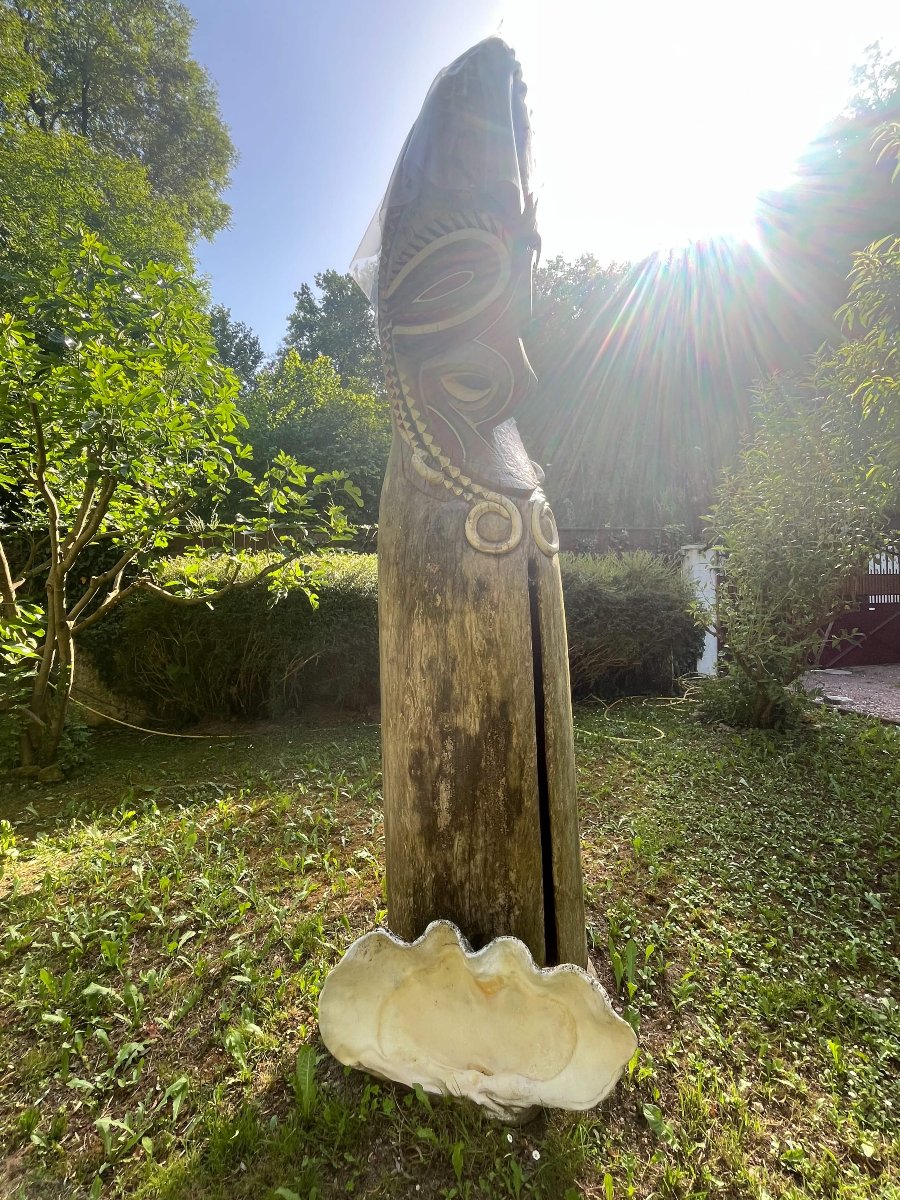 Bénitier géant fossilisé «Tridacna Gigas » Océanie Vanuatu Art premier-photo-3