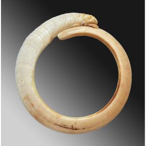 Rare bracelet Dent De Verrat Monnaie d'&eacute;change Vanuatu Oc&eacute;anie Art Premier