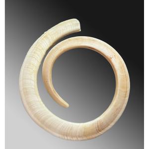 Boar's Tusk Currency Exchange Vanuatu, Oceania, Tribal Art