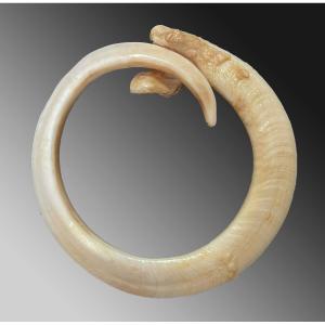 Dent de verrat Monnaie d'échange Vanuatu Océanie Art premier