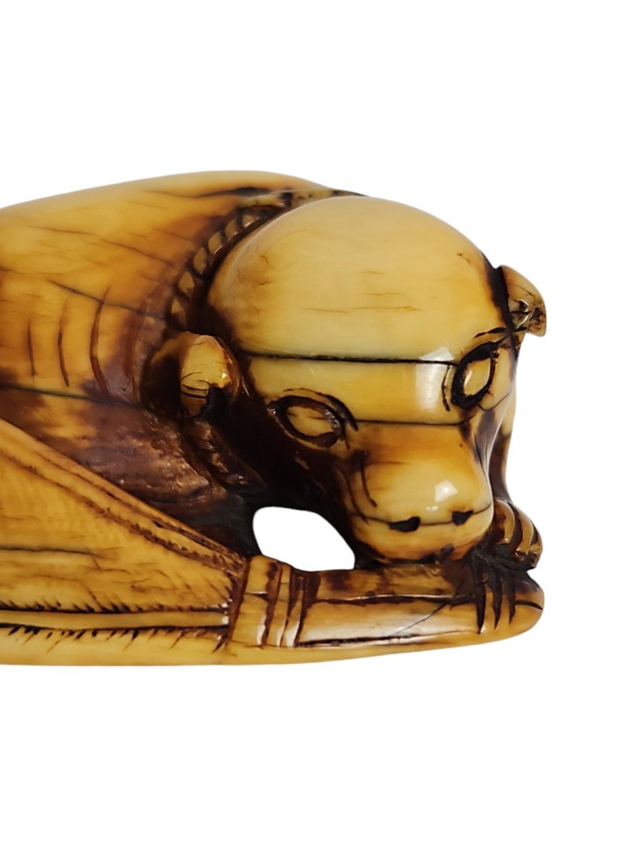 Dog Playing With A Fan, Netsuke. -photo-7