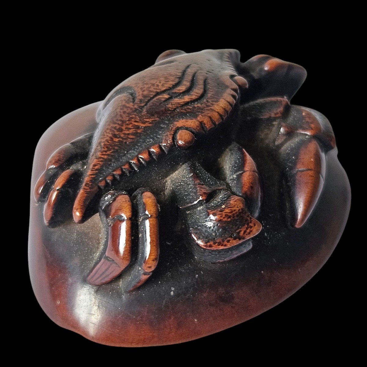 Crabe Sur Un Coquillage. Netsuke -photo-4
